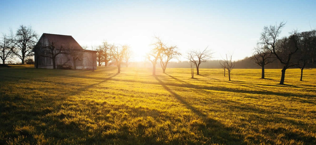country scene